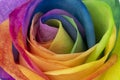 Rainbow rose petal leaves pride colors lbtg