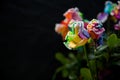 Rainbow roses with black background