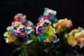 Rainbow roses with black background Royalty Free Stock Photo