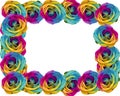 Rainbow roses frame