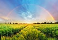 Rainbow Rural landscape with wheat field on sunset Royalty Free Stock Photo