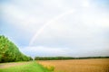 Rainbow Rural landscape with wheat field on sunset Royalty Free Stock Photo