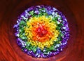 Rainbow salad with all the colors Royalty Free Stock Photo