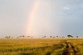 Rainbow in the Savannah Royalty Free Stock Photo