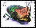 Rainbow Scarab Beetle Phanaeus vindex, Insects and Spiders serie, circa 1999
