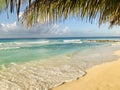 Palm tree leaves over the Dover beach