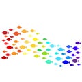 Rainbow shoal of fish Royalty Free Stock Photo