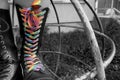 Rainbow shoe-string