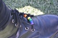 Rainbow shoes