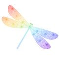 Rainbow silhouette of a dragonfly on a white background. Vector illustration. Linear style.