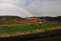 Rainbow Skogafoss