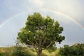 Rainbow sky Royalty Free Stock Photo