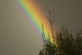 Rainbow in sky. Beautiful weather. Decomposition of light into colors