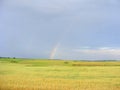 Rainbow in the sky over summer field of oast Royalty Free Stock Photo