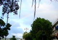 A Rainbow in Sky in Panaji, Goa