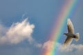 Rainbow In the sky Royalty Free Stock Photo