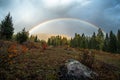 Rainbow sky with vibrant yellow autumn scene at Kanas lake, China Royalty Free Stock Photo