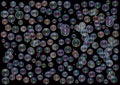 Rainbow soap bubbles on a dark background Royalty Free Stock Photo