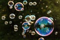 Rainbow soap bubbles Royalty Free Stock Photo