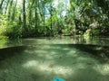 Rainbow Springs River Park Florida Royalty Free Stock Photo