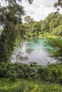 Rainbow Springs State Park, Florida