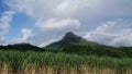 Rainbow sugar cane mauritius Royalty Free Stock Photo