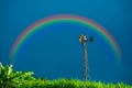 Rainbow in a sugar cane plantation with old windmill background Royalty Free Stock Photo