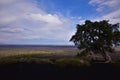 Rainbow at the summit tree Craters of the moon national monument and preserve