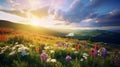 rainbow on sunset sky across a stunning vista landscape,mountains wildflowers sun flares Royalty Free Stock Photo