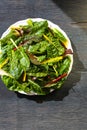 Rainbow Swiss Chard Fresh Leaves