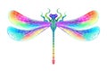 Rainbow symmetrical dragonfly on white background