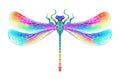 Rainbow symmetrical dragonfly on white background Royalty Free Stock Photo
