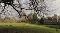 Rainbow touching meadow next to cemetery in Killarney Ireland