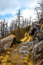 Rainbow trail at Great Smoky Mountains National Park