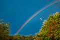 Rainbow among the trees against the blue sky