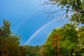 Rainbow among the trees against the blue sky Royalty Free Stock Photo