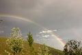 a rainbow among the trees Royalty Free Stock Photo