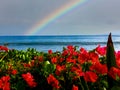 Rainbow Tropical Beach Maui Kaanapali Royalty Free Stock Photo