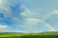 Rainbow in tropical.