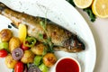 Rainbow trout with grilled vegetables and citrus sauce Royalty Free Stock Photo