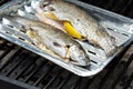 Rainbow trout ready to be grilled Royalty Free Stock Photo
