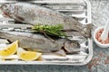 Rainbow trout ready to be grilled Royalty Free Stock Photo