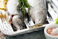 Rainbow trout ready to be grilled Royalty Free Stock Photo