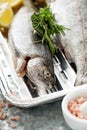 Rainbow trout ready to be grilled Royalty Free Stock Photo