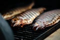 Rainbow trout smoked. Royalty Free Stock Photo