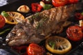 Rainbow trout with vegetables on a grill pan macro. horizontal