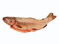 Rainbow trout whole eviscerated, Royalty Free Stock Photo