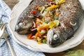 Rainbow trouts with cut vegetables Royalty Free Stock Photo