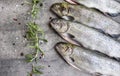 Rainbow trouts with herbs