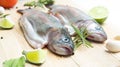 Rainbow trouts Royalty Free Stock Photo